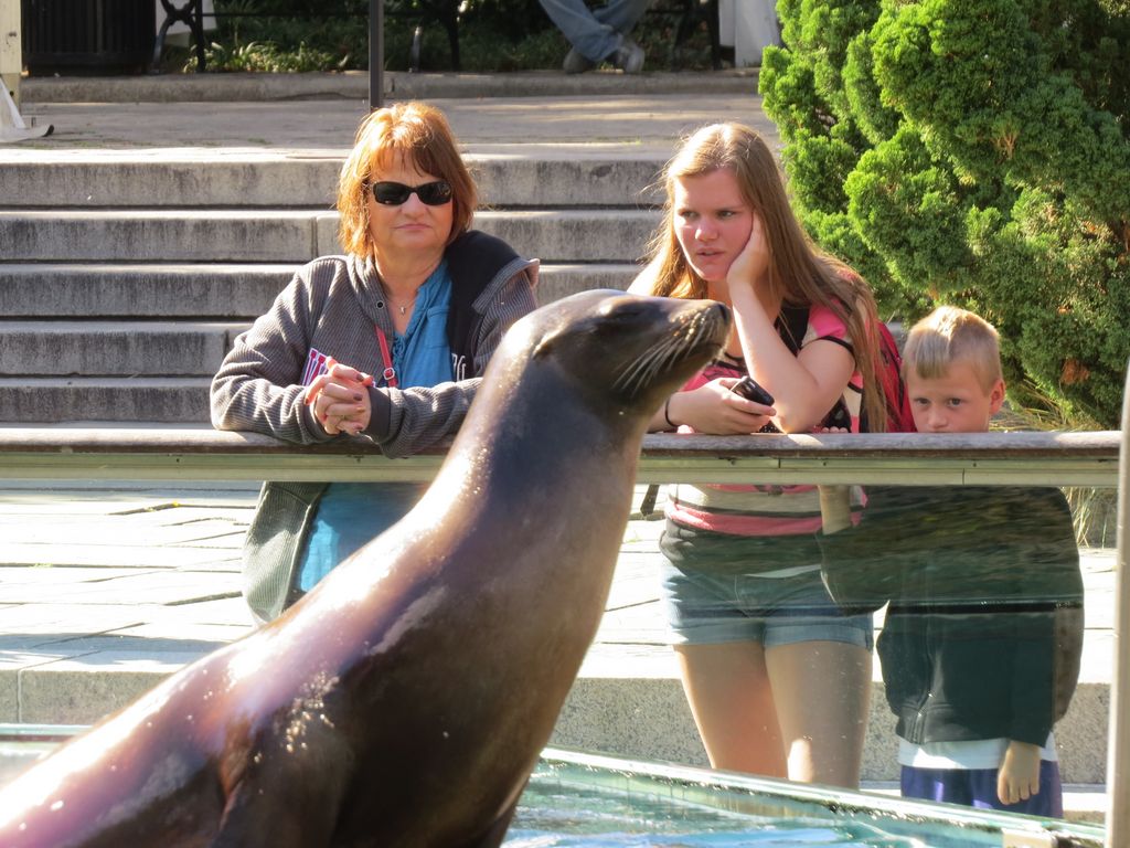 2014_09_22_central_park_0021.jpg (large)