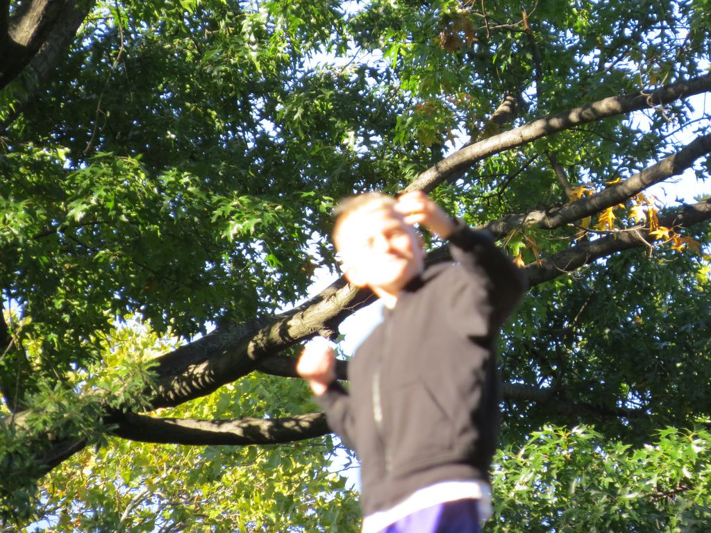 2014_09_22_central_park_0030.jpg (large)