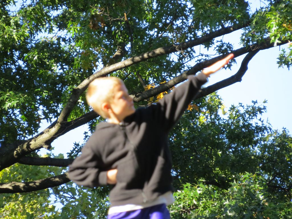 2014_09_22_central_park_0031.jpg (large)