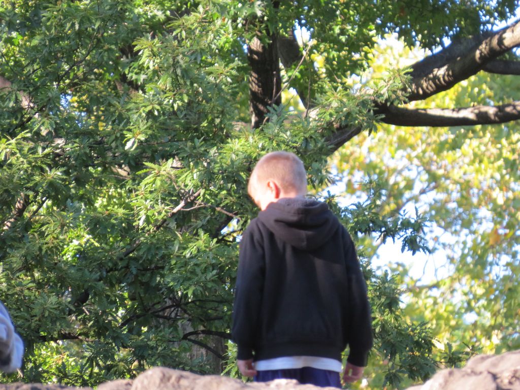 2014_09_22_central_park_0032.jpg (large)