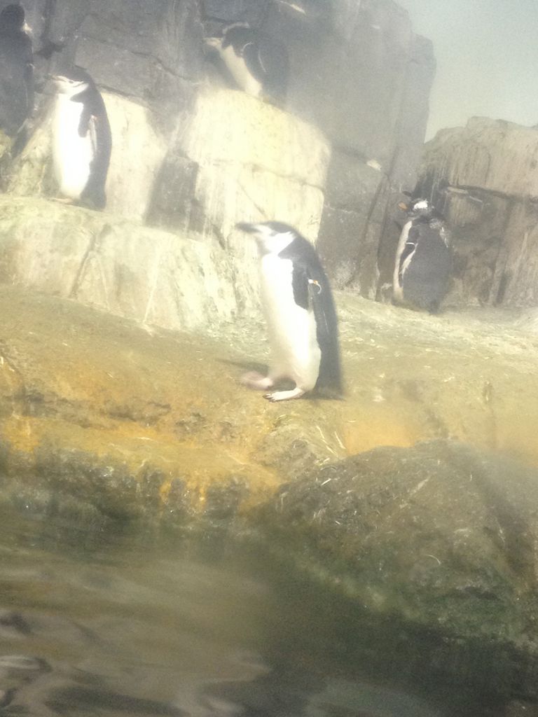 2014_09_22_k_iphone_central_prk_159.jpg (large)