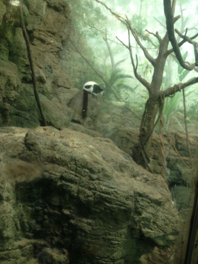 2014_09_22_k_iphone_central_prk_164.jpg (large)