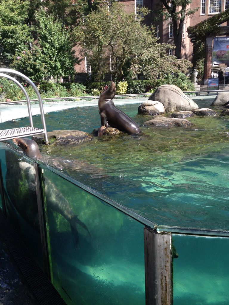 2014_09_22_k_iphone_central_prk_171.jpg (large)