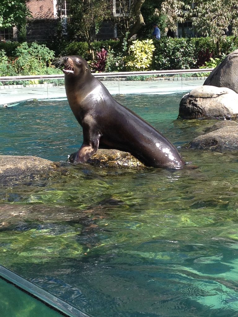 2014_09_22_k_iphone_central_prk_173.jpg (large)