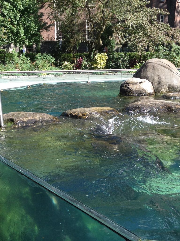 2014_09_22_k_iphone_central_prk_174.jpg (large)