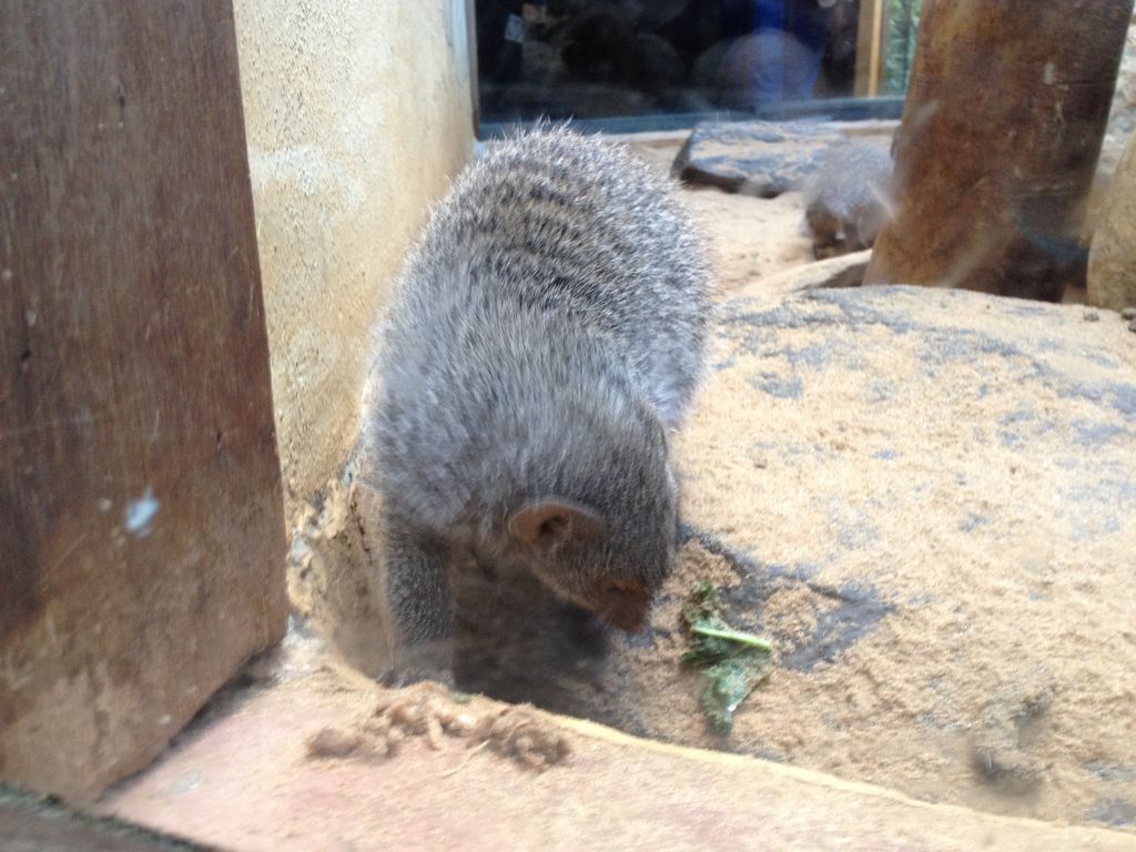 2014_09_22_s_iphone_central_prk_041.jpg (large)