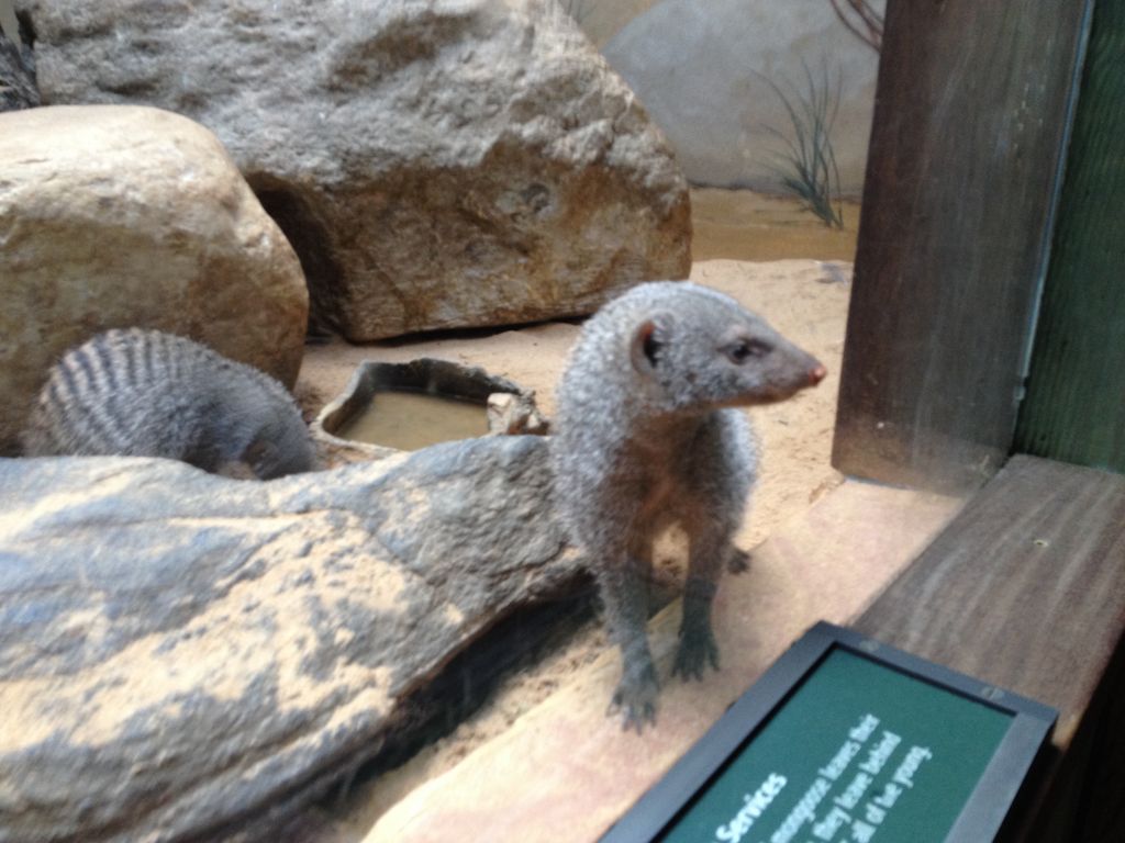 2014_09_22_s_iphone_central_prk_043.jpg (large)