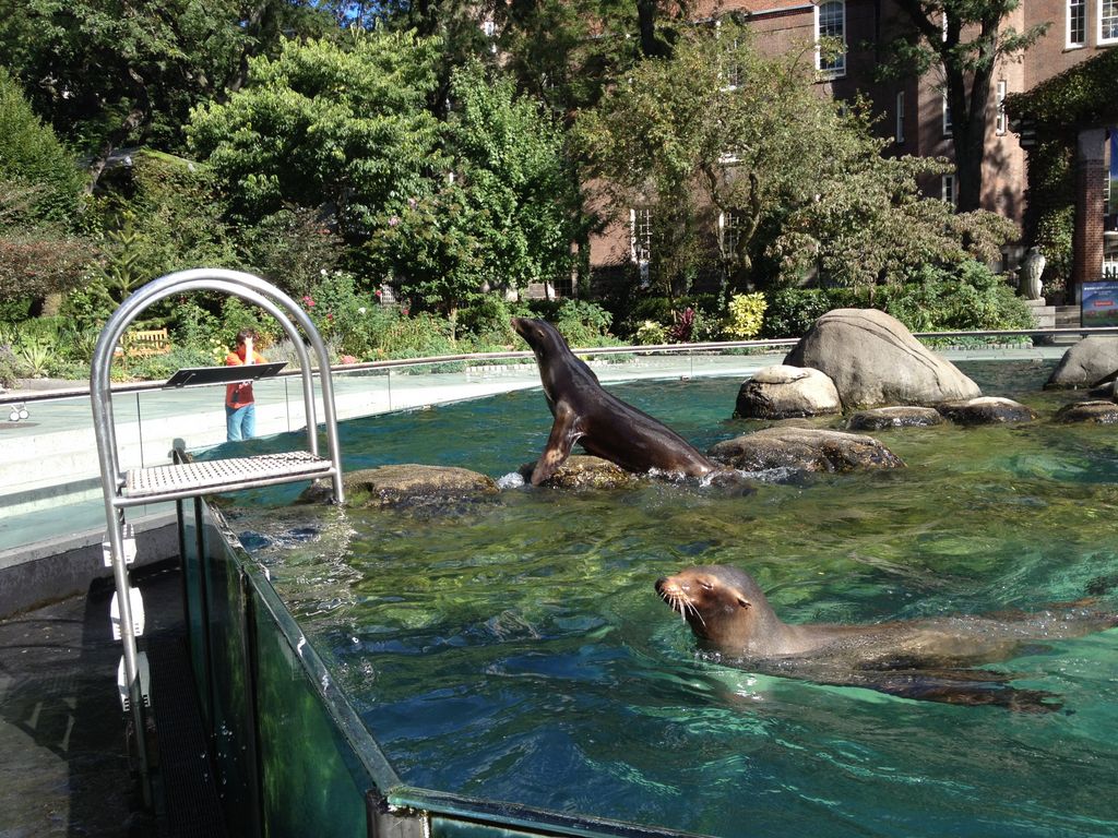 2014_09_22_s_iphone_central_prk_048.jpg (large)