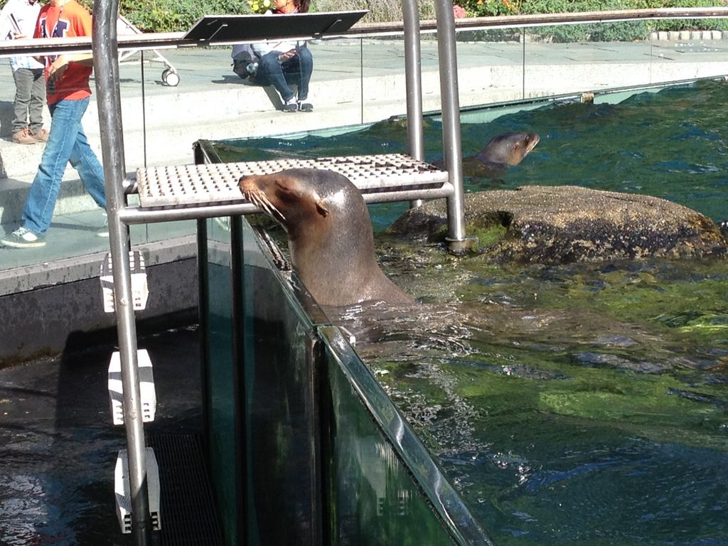 2014_09_22_s_iphone_central_prk_050.jpg (large)