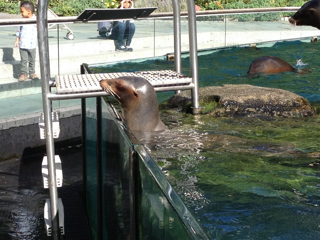 2014_09_22_s_iphone_central_prk_051.jpg (large)