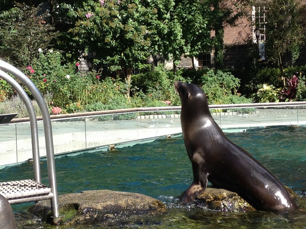 2014_09_22_s_iphone_central_prk_052.jpg (large)