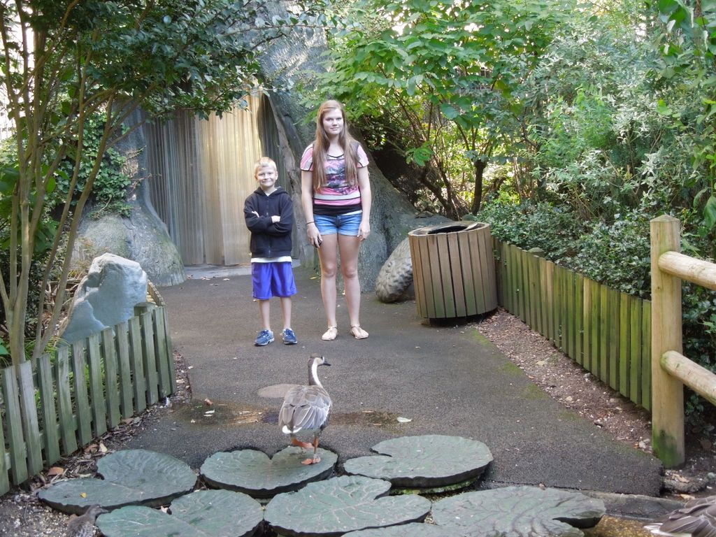 2014_09_22_zoo_0028.jpg (large)