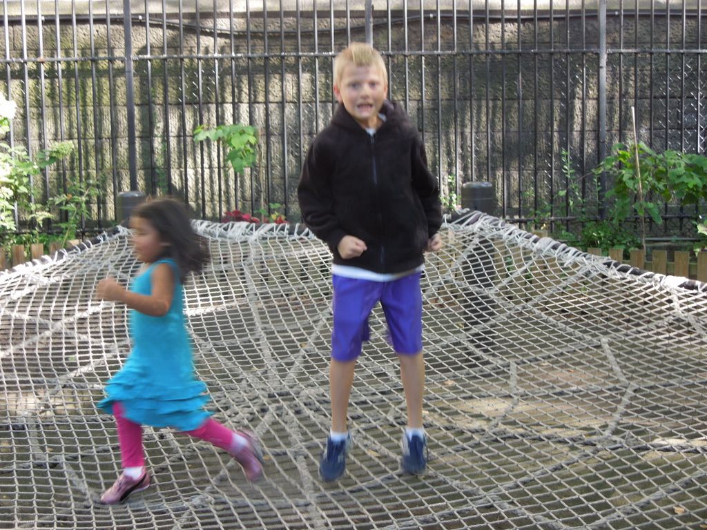 2014_09_22_zoo_0032.jpg (large)