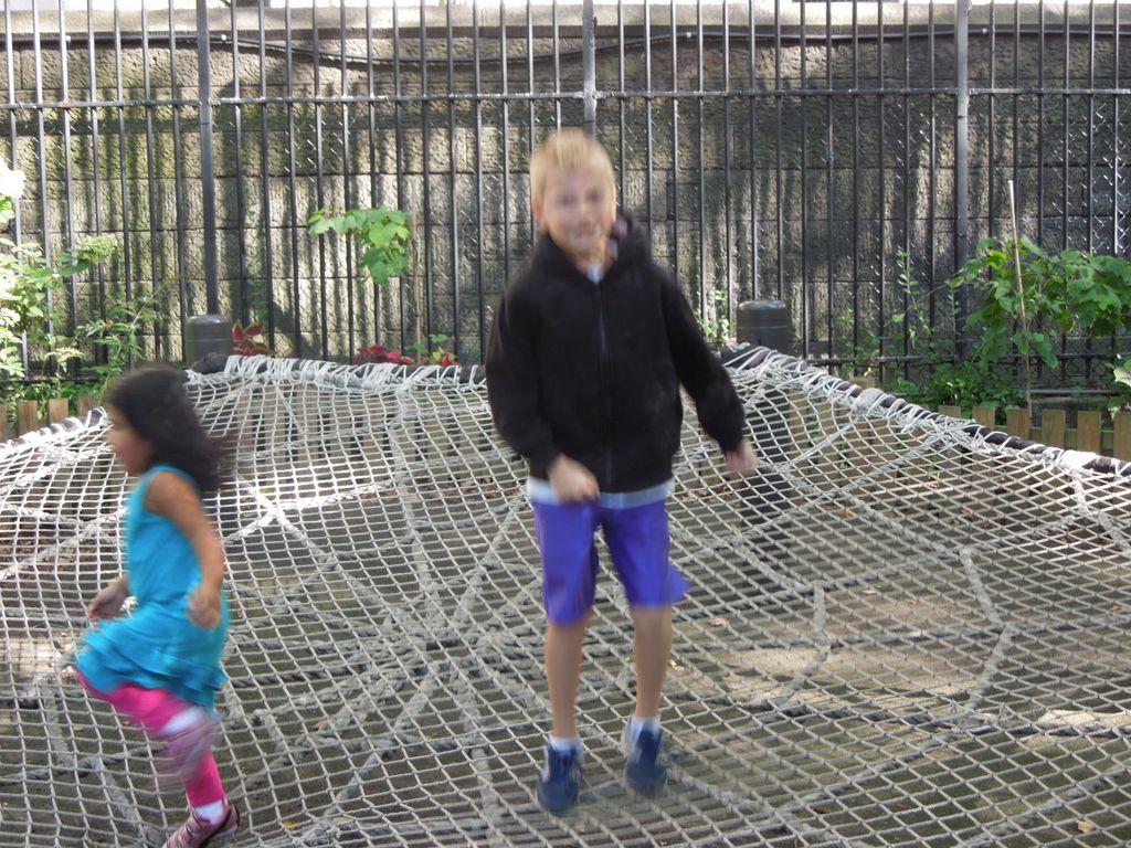 2014_09_22_zoo_0033.jpg (large)