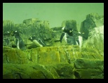 2014_09_22_zoo_0027.jpg