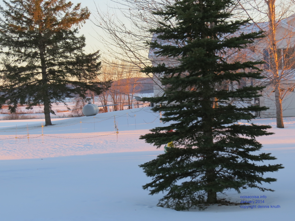 2014_01_02_farm_0210.jpg (large)