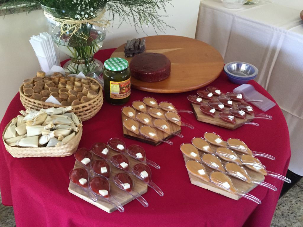 Brazilian deserts