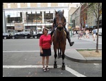 Mounted Police in New York City