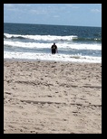 Wading in the Waves