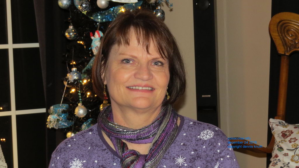 Sherri Christmas portrait 2016