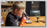 Using a microscope