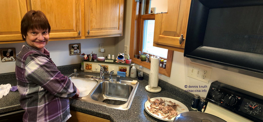 Dumpling cooking panorama