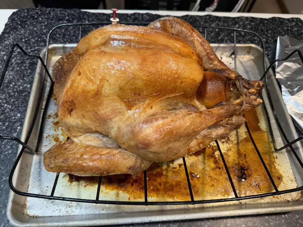 Two Year Old Turkey